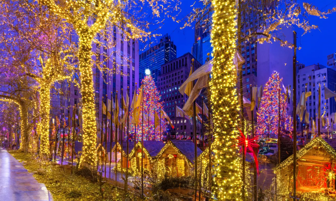 City street trees and buildings lit with holiday lights at night in New York